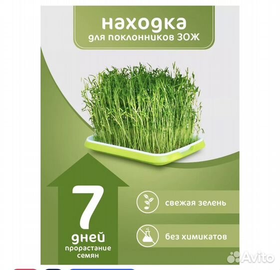 Пропащиватель для микрозелени (3 шт)