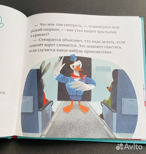 Книга Правила поведения и безопасности в самолете