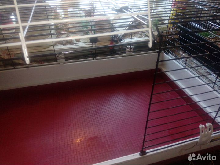 Большая клетка для домашнего кролика