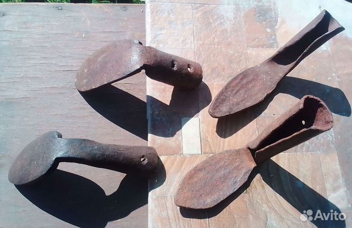 Лапа сапожная