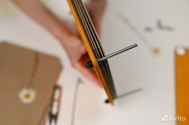 Гербарный пресс 22*31 см лиственница пивной картон