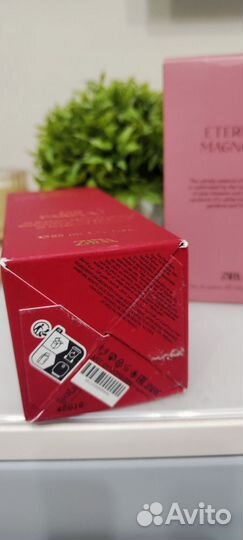 Zara Red temptation Parfum 80 ml