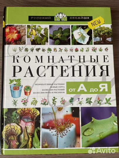 Комнатные расстения от А до Я