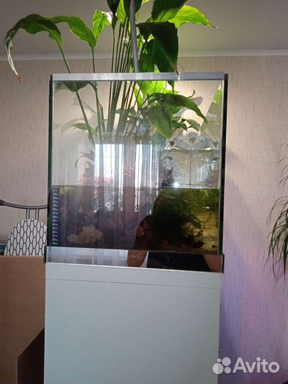 Аквариум, паллюдариум + стеллаж IKEA