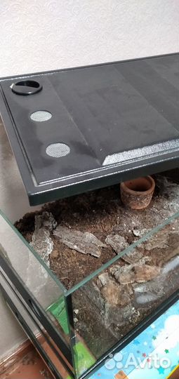 Стеклянный террариум для рептилий или насекомых