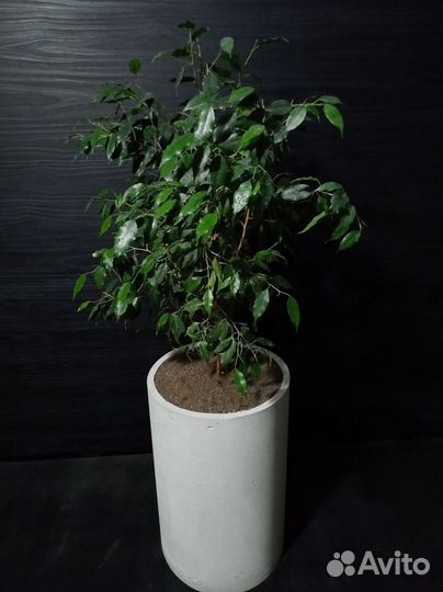 Кашпо, Вазоны, Горшки под заказ из бетона арт 125