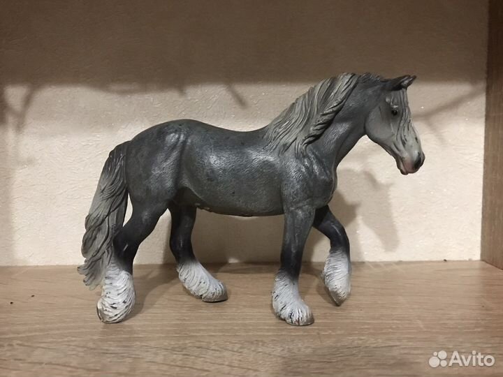 Лошади collecta