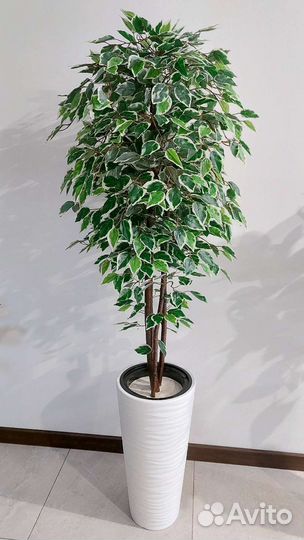 Искусственное дерево растение фикус Бенджамина