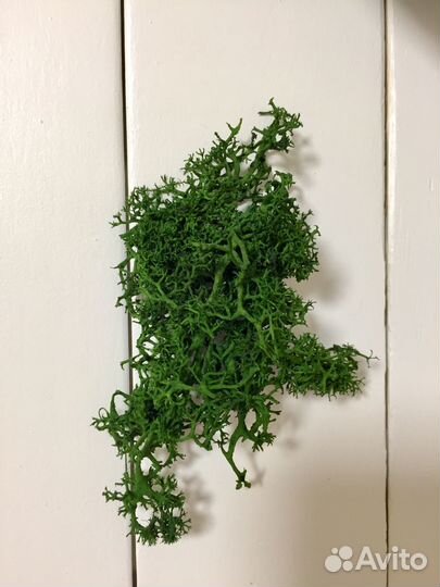 Обрезки мха для поделок