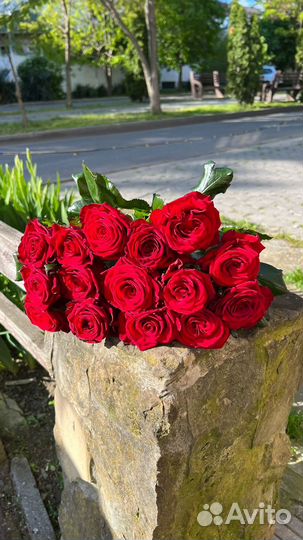 Красивый букет красных роз красные цветы