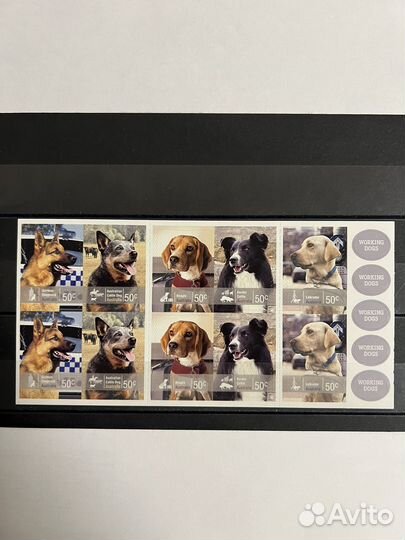 2008 г. Австралия. Фауна