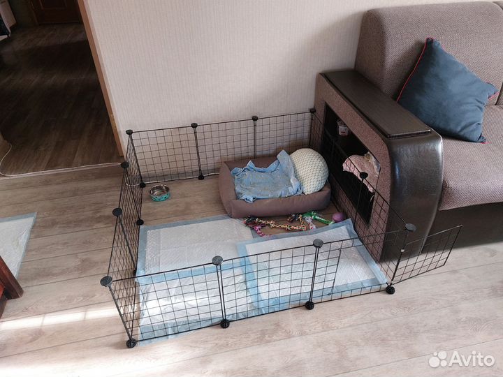 Вещи для животных