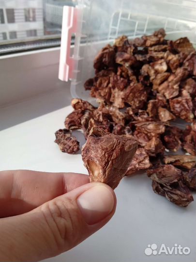 Лакомства для собак