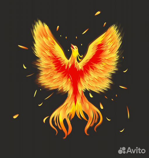 Графический дизайнер, иллюстратор