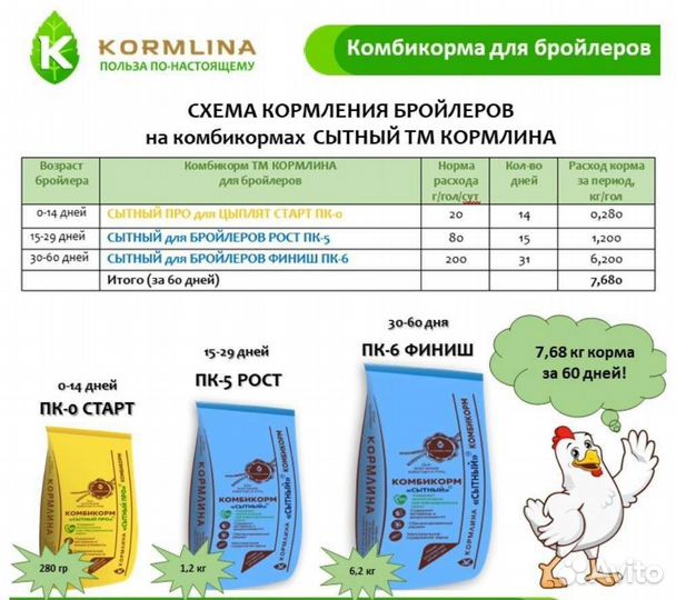 Индюшонок,Бройлер