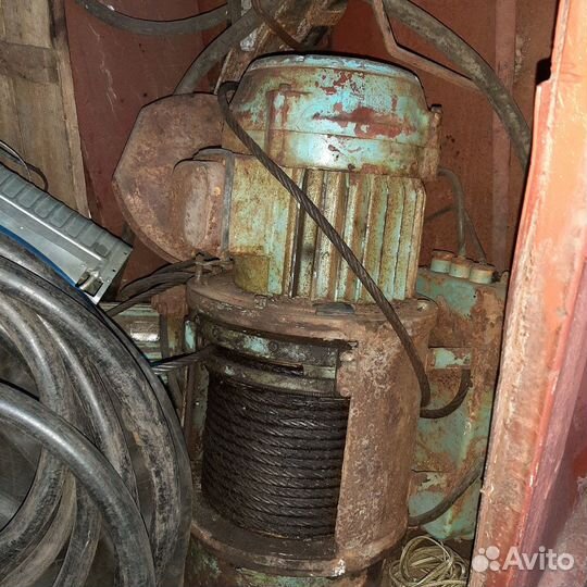 Тельфер болгарский