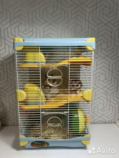 Серийские хомяки с клеткой