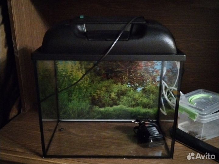 Аквариум