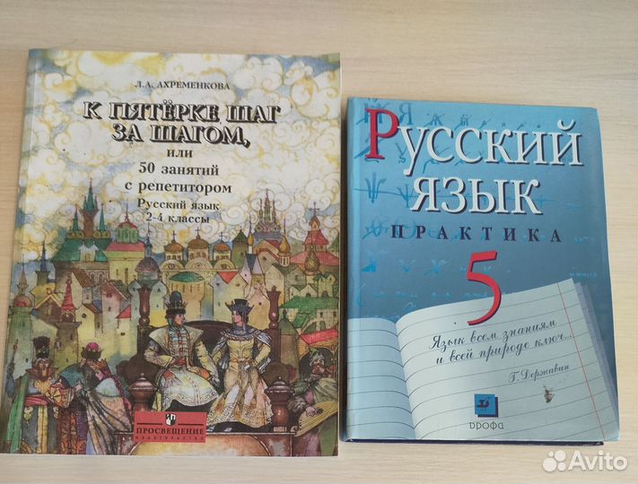 Книги по русскому языку и литературе