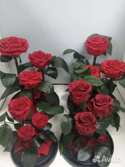 Роза в колбе оптом и в розницу
