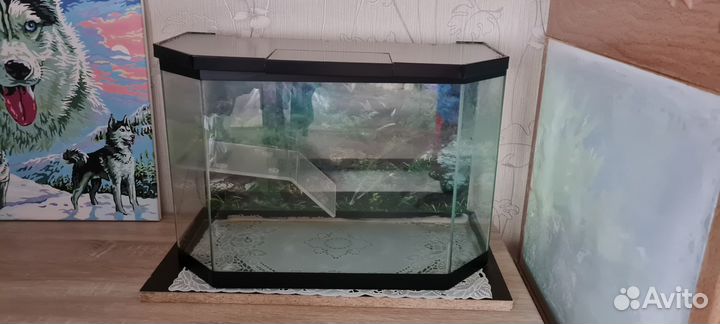 Аквариум для красноухой черепахи