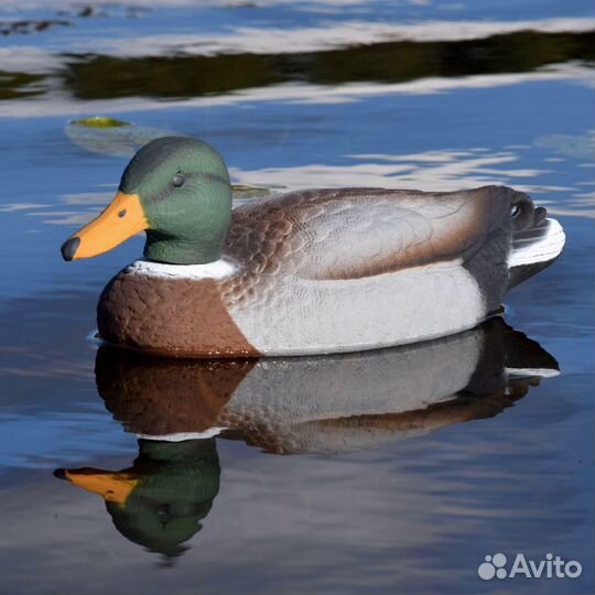 Чучела уток для охоты