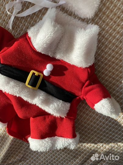 Новогодний костюм для кошки