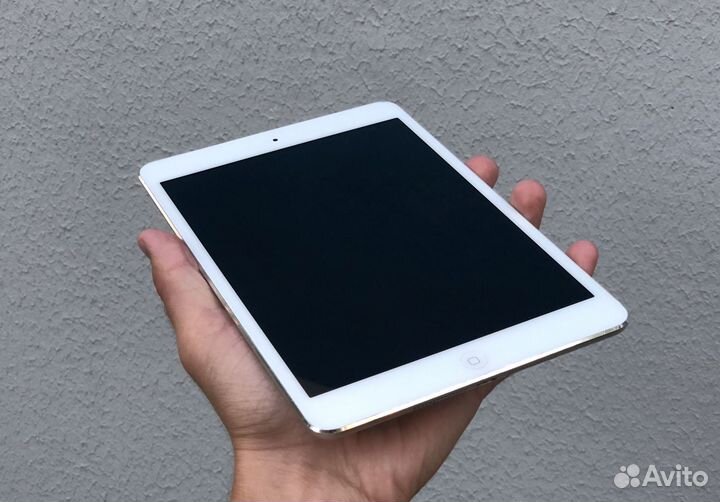 iPad mini wi-fi + Cellular 16 gb