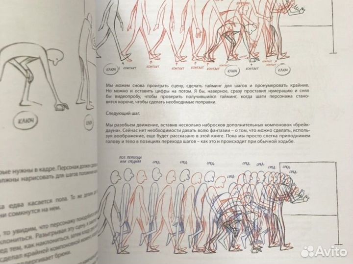 Аниматор. Набор для выживания