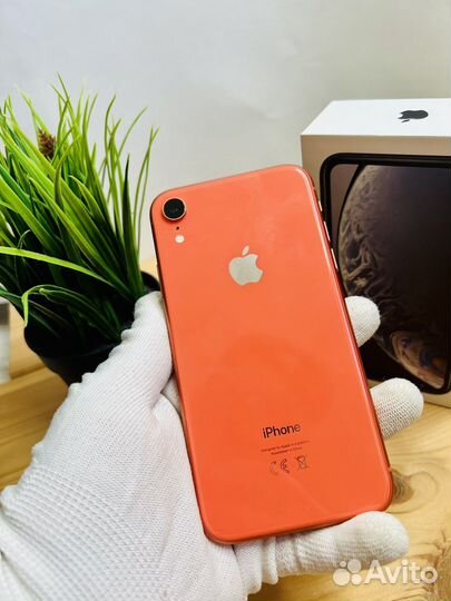 iPhone Xr, 64 ГБ