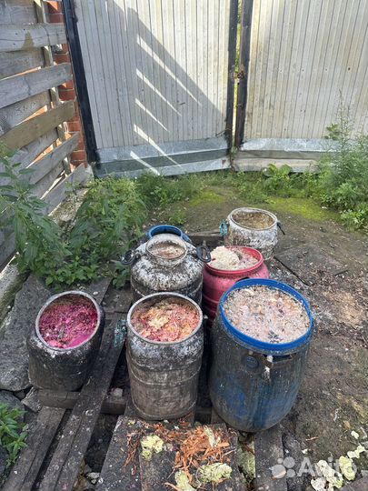 Пищевые отходы для животных