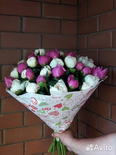 Пионы в букет