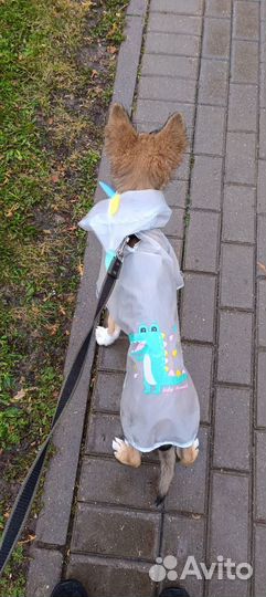Плащ/дождевик для собак