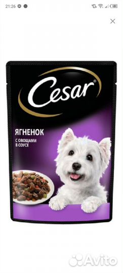 Корм для собак