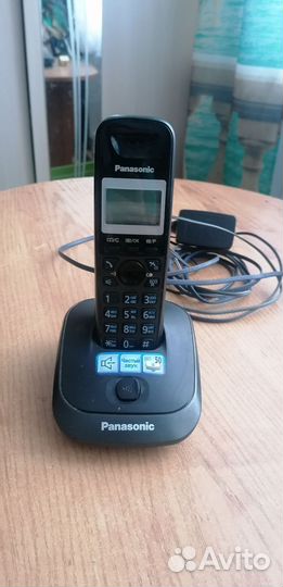 Panasonic