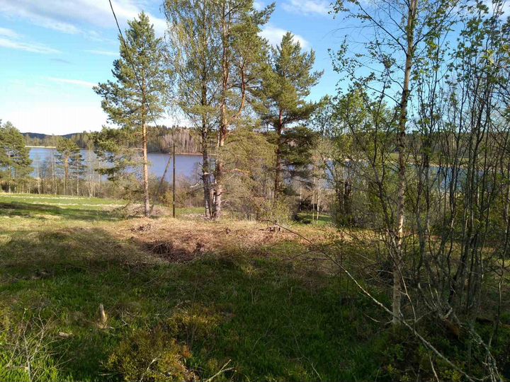 Участок 1,04 га (СНТ, ДНП)