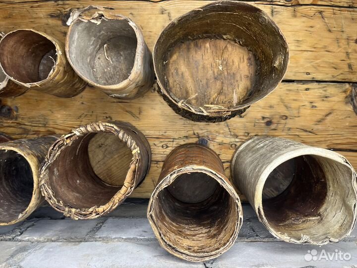 Туяса Берестяное Плетение 2