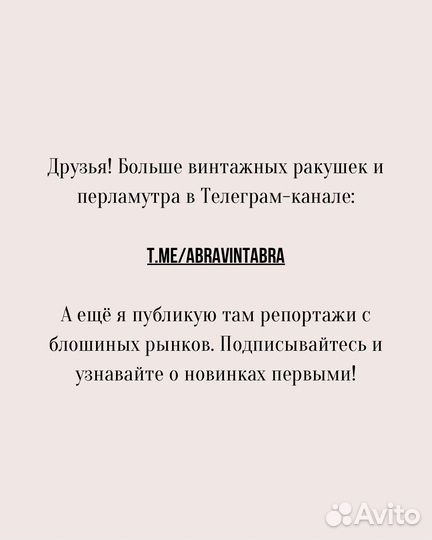 Наутилус помпилиус ракушки полированные