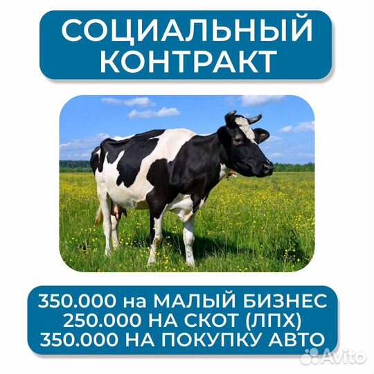 Социальный контракт на 350т. + бизнес план