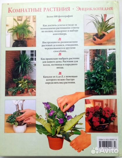 Комнатные растения Энциклопеция