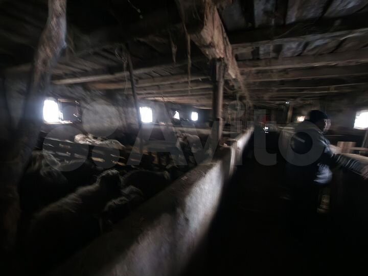 Участок 1,55 га (СНТ, ДНП)