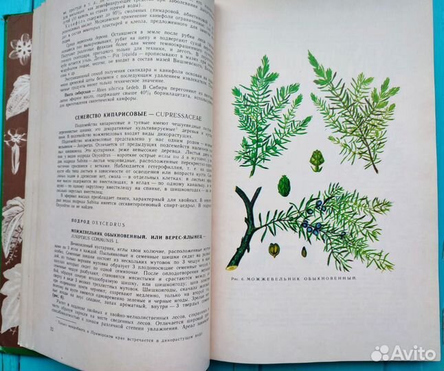 Ботаническая книга лекарственные растения СССР
