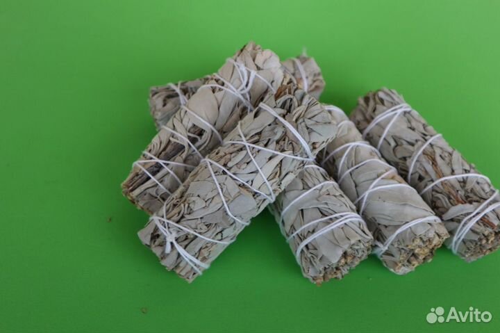 Шалфей Белый от 20шт опт для Озон