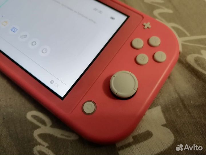 Nintendo switch lite