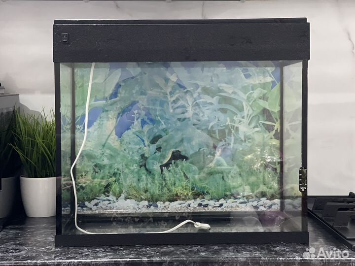 Аквариум