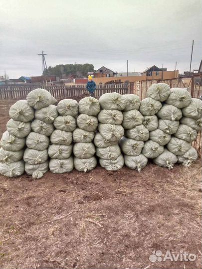 Продам навоз. перегной. конский. коровий