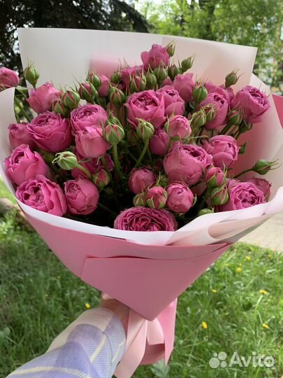 Пионовидная кустовая роза мисти баблз