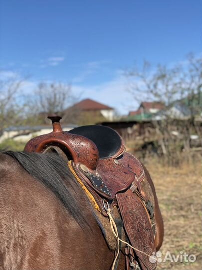 Седло для лошади