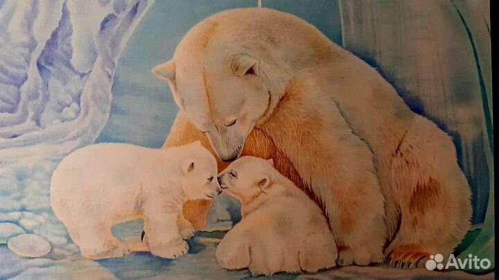 Рисунки. Цветная графика