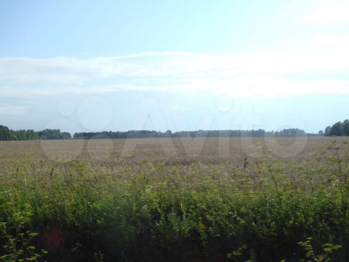 Участок 10 га (СНТ, ДНП)